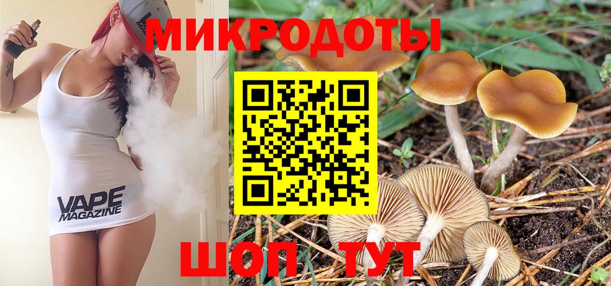 Псилоцибиновые грибы мухоморы Норильск