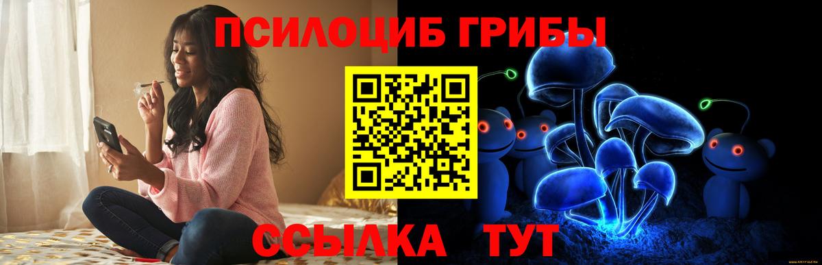 даркнет сайт  Псилоцибиновые грибы ЛСД  Вход с VPN  Норильск 